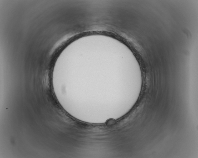 X0000112961262200910081038