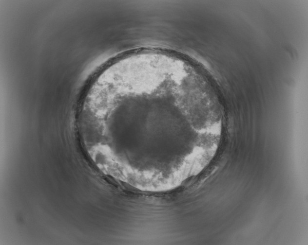 X0000112961263200910081038