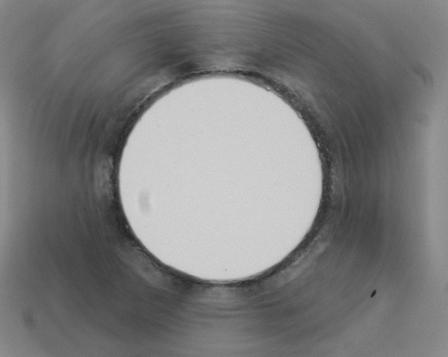 X0000112961265200910081038