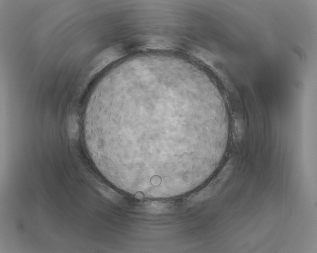 X0000112961266200910081038