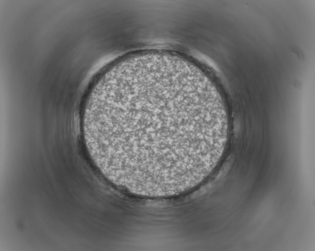 X0000112961267200910081038