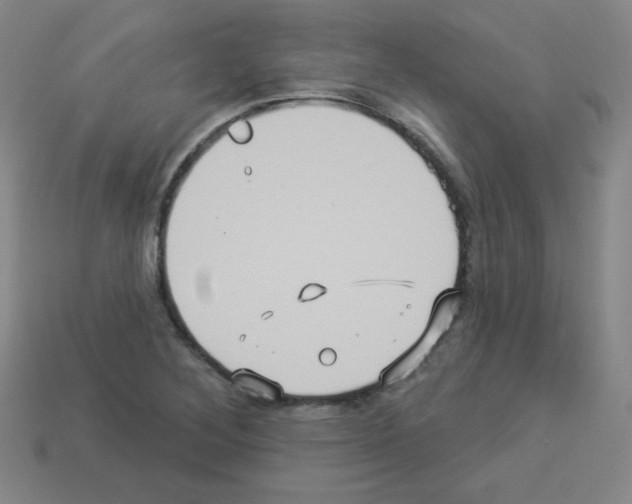 X0000112961268200910081038