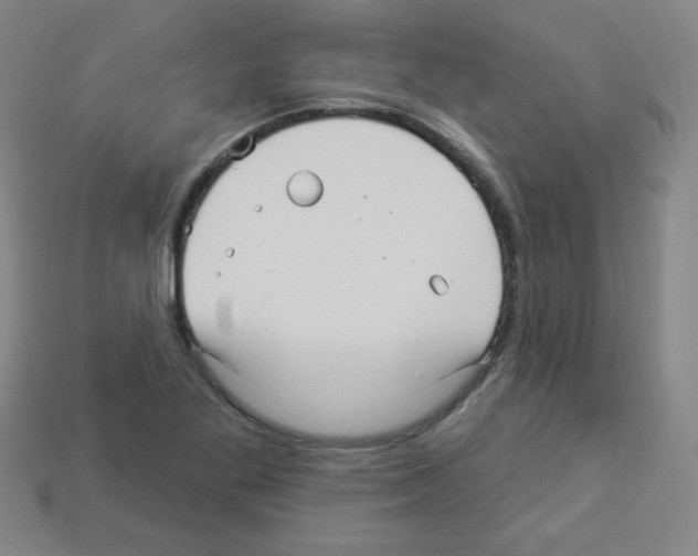 X0000112961269200910081038