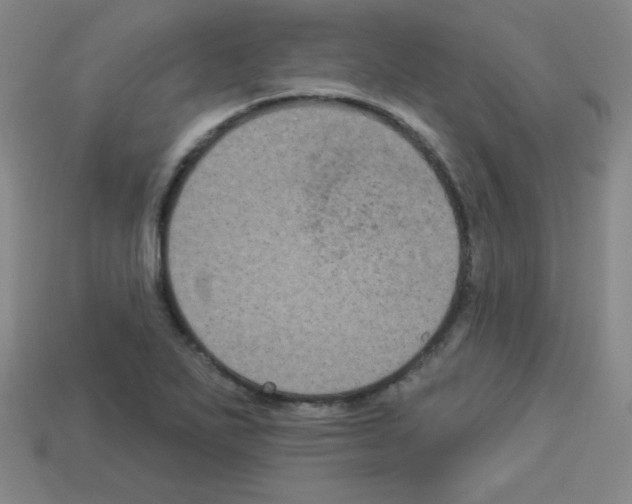 X0000112961271200910081038