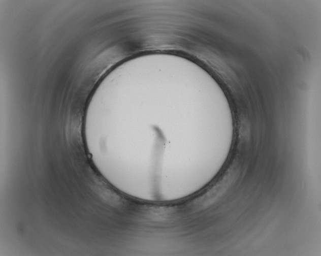 X0000112961273200910081038