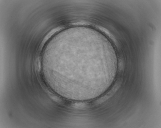 X0000112961274200910081038