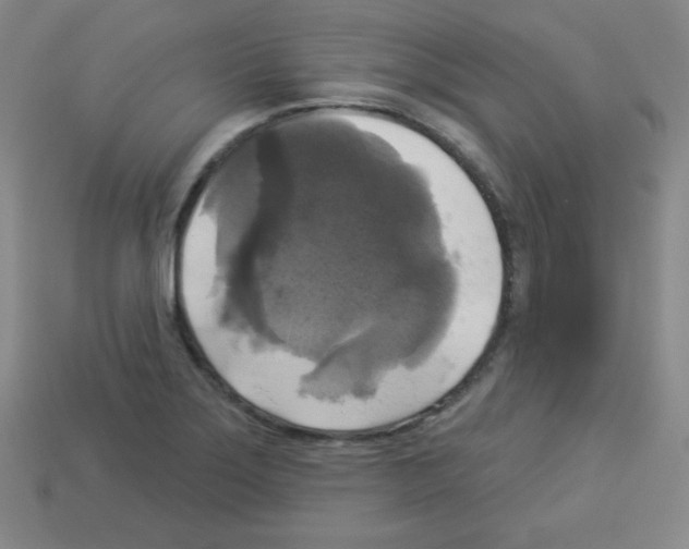 X0000112961275200910081038