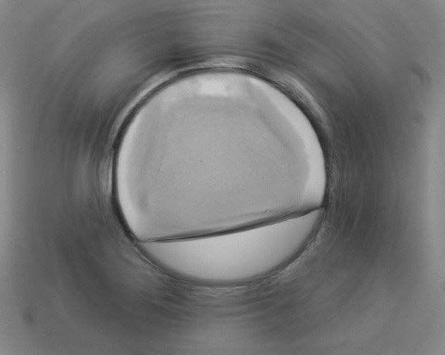 X0000112961276200910081038