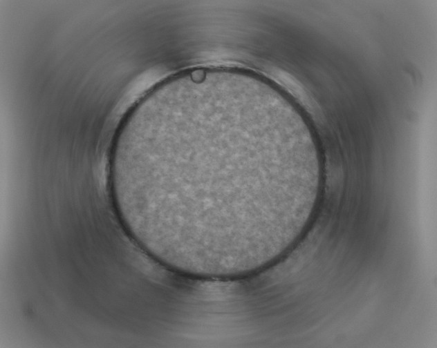 X0000112961277200910081038