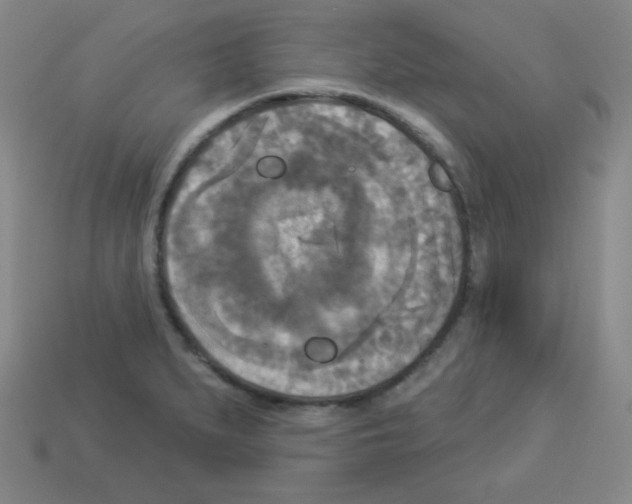 X0000112961279200910081038