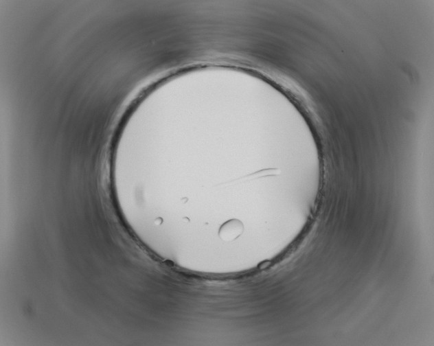 X0000112961280200910081038