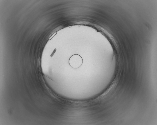 X0000112961281200910081038