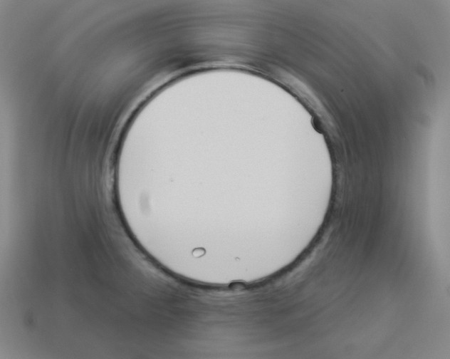 X0000112961284200910081038