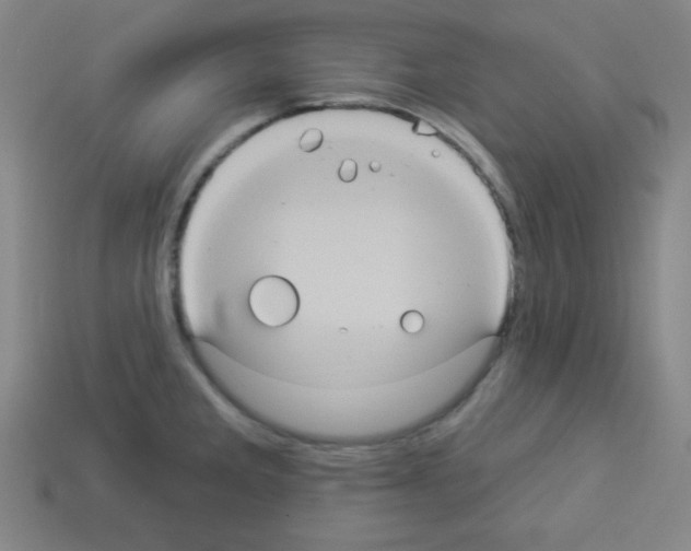 X0000112961285200910081038