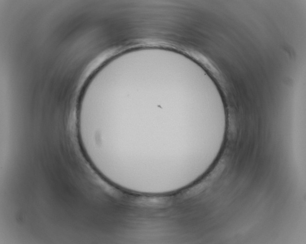 X0000112961286200910081038