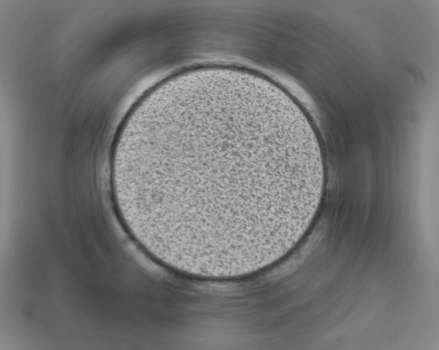 X0000112961287200910081038