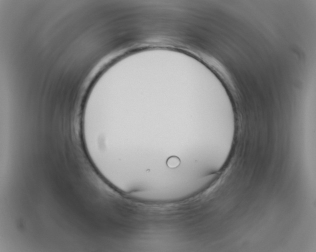 X0000112961288200910081038