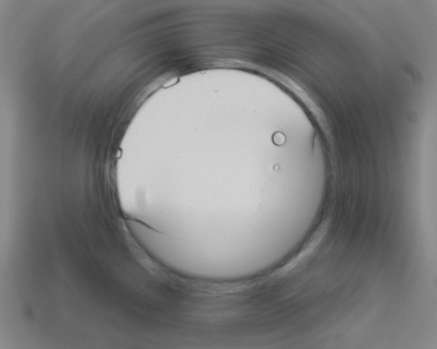 X0000112961289200910081038