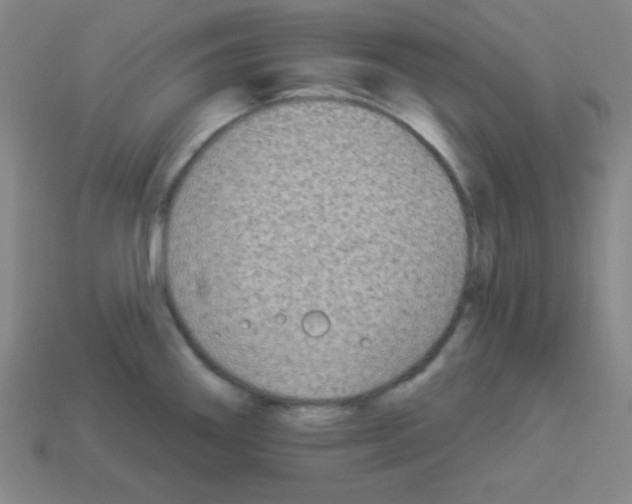 X0000112961290200910081038