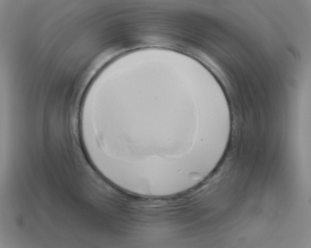 X0000112961291200910081038