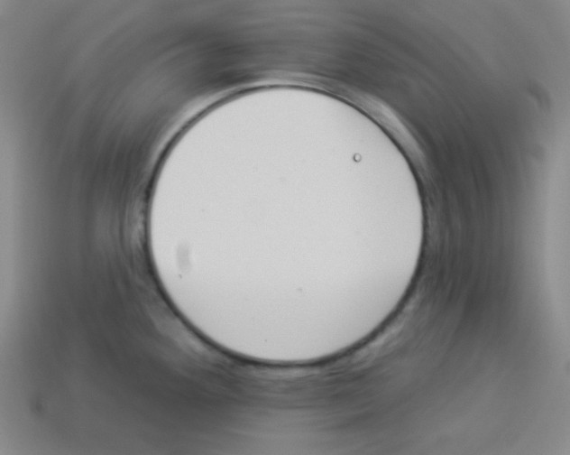 X0000112961292200910081038