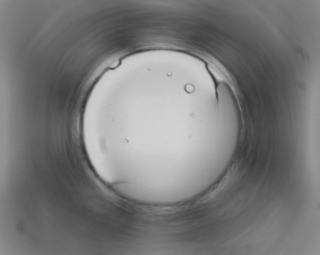 X0000112961293200910081038