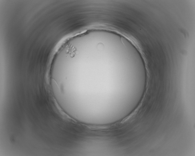 X0000112961296200910081038