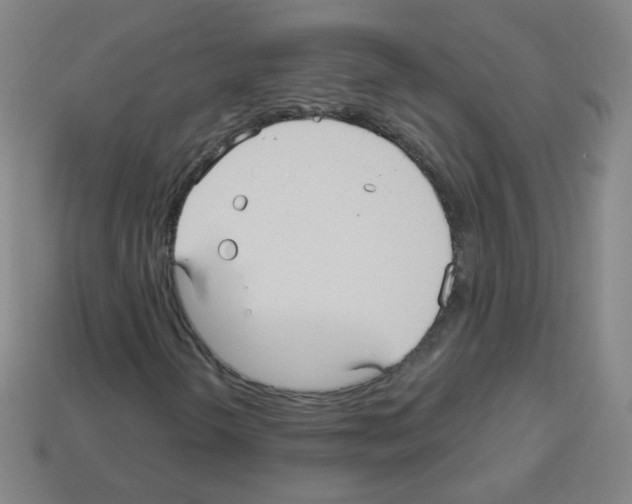 X0000112961298200910081037