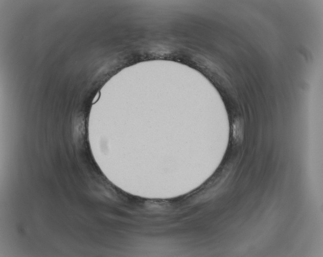 X0000112961299200910081037