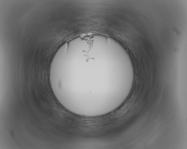 X0000112961300200910081037