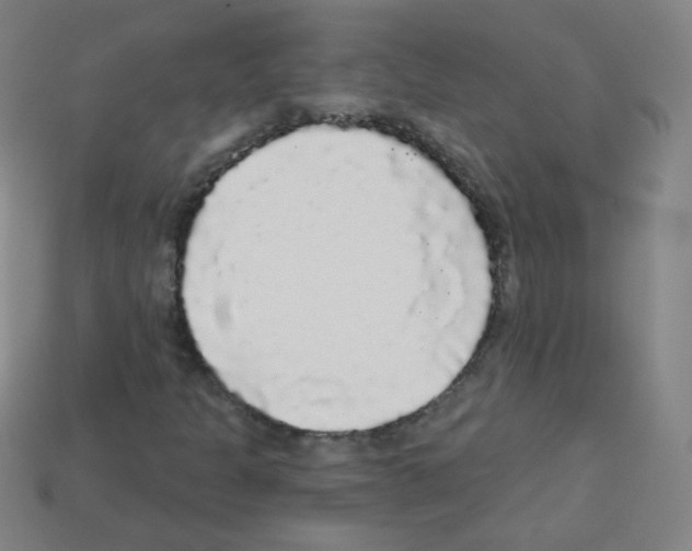 X0000112961301200910081037