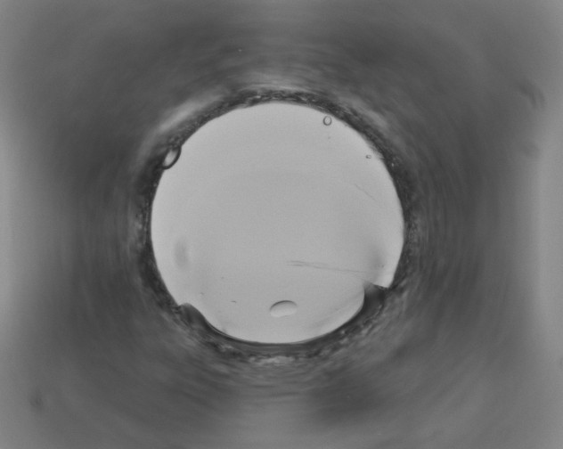 X0000112961303200910081037