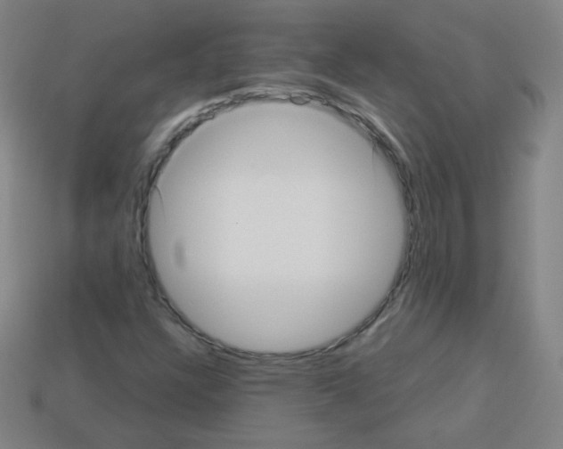 X0000112961304200910081037