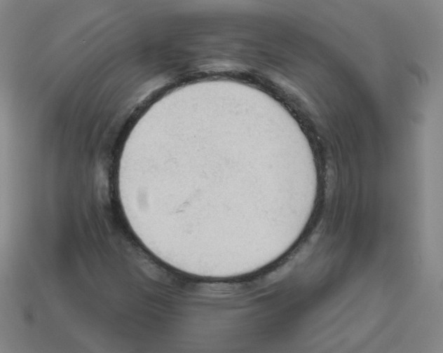 X0000112961305200910081037