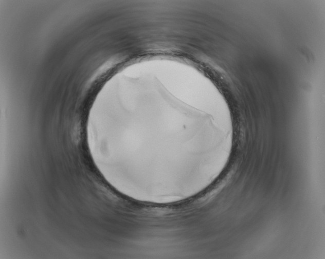 X0000112961306200910081037