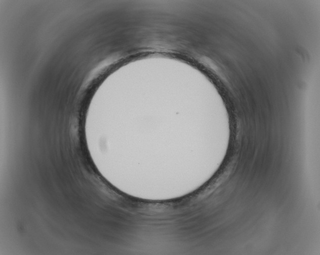 X0000112961307200910081037