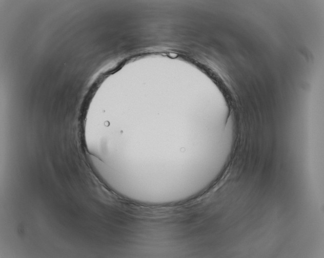 X0000112961308200910081037