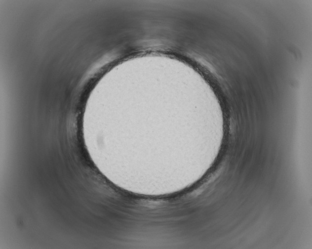 X0000112961309200910081037