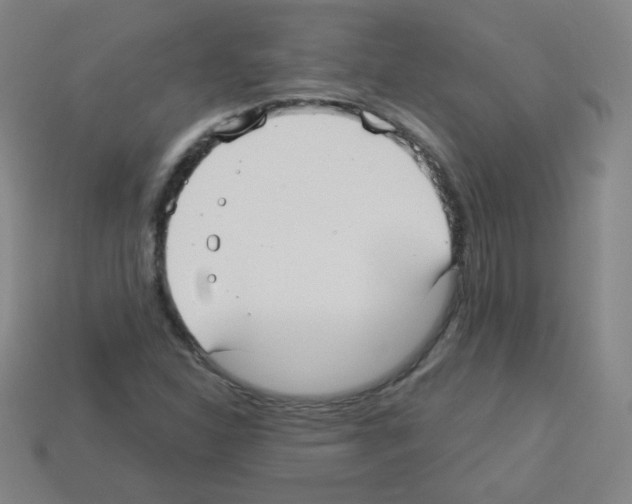 X0000112961310200910081037