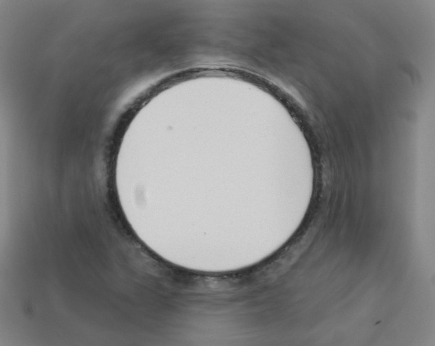 X0000112961311200910081037