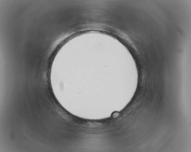 X0000112961312200910081037