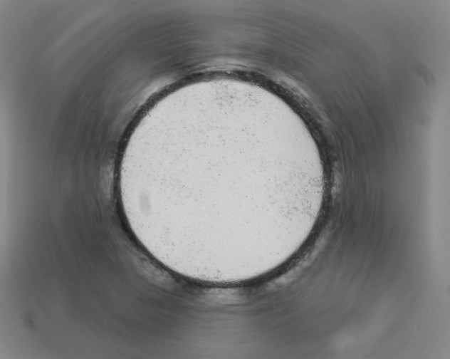 X0000112961313200910081037