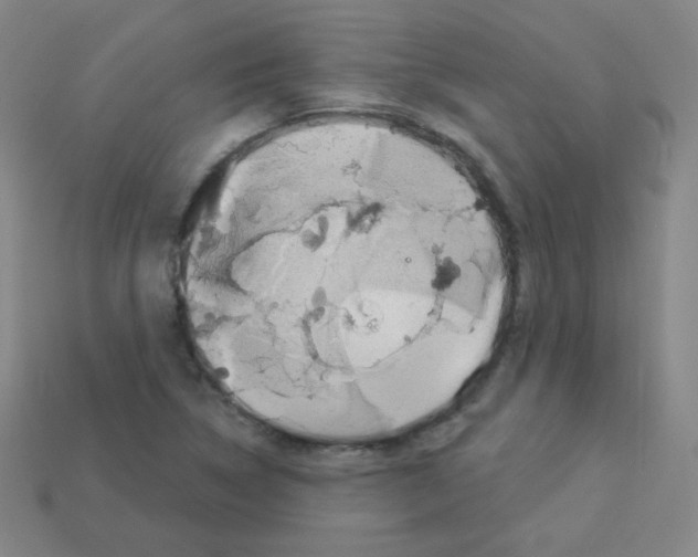 X0000112961314200910081037