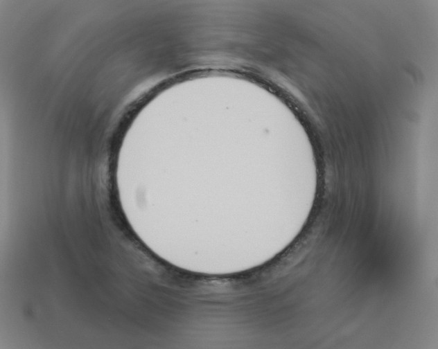 X0000112961315200910081037