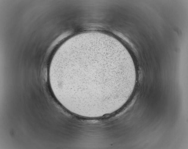 X0000112961317200910081037