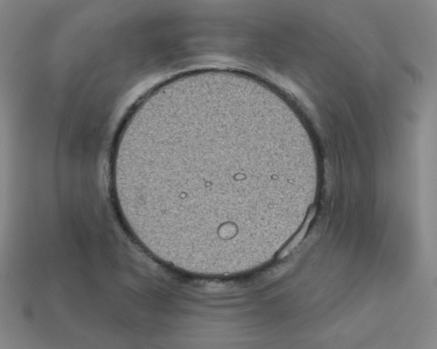 X0000112961318200910081037