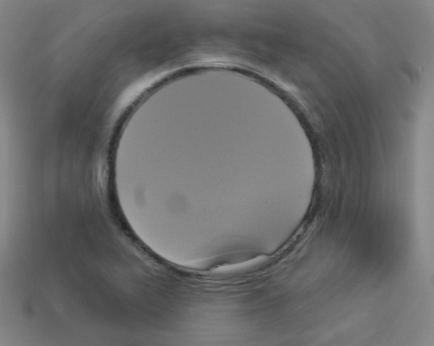 X0000112961319200910081037