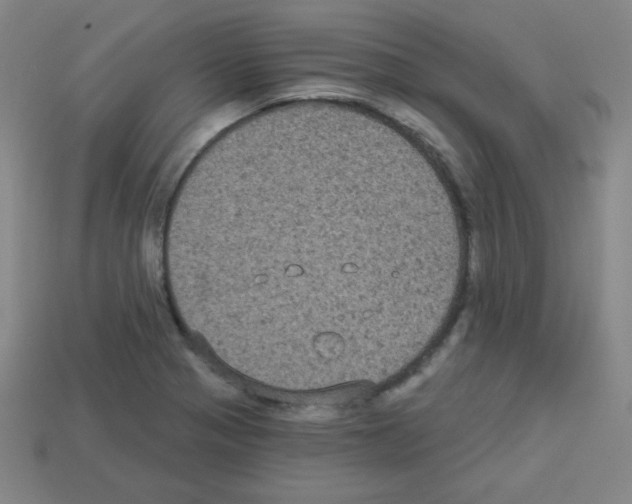 X0000112961321200910081037