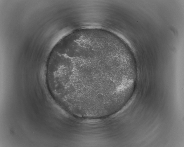 X0000112961325200910081037