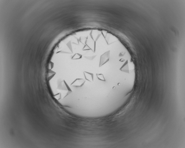 X0000112961326200910081037